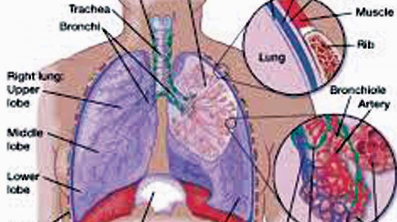 Immunotherapy or biologic therapy is another cancer treatment option that boosts the patient’s immune system to fight the cancer cells. Immunotherapy or biologic therapy is another cancer treatment option that boosts the patient’s immune system to fight the cancer cells.