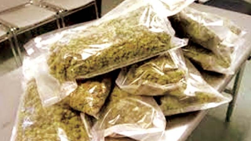 The accused had travelled several times to Qatar and officials suspect that he may have trafficked drugs in the past. The accused had travelled several times to Qatar and officials suspect that he may have trafficked drugs in the past.