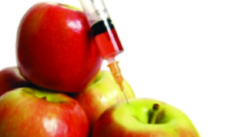 GM labels were found only in six samples while the remaining 13 did not have the labels. A total of 20 samples tested GM positive. GM labels were found only in six samples while the remaining 13 did not have the labels. A total of 20 samples tested GM positive.