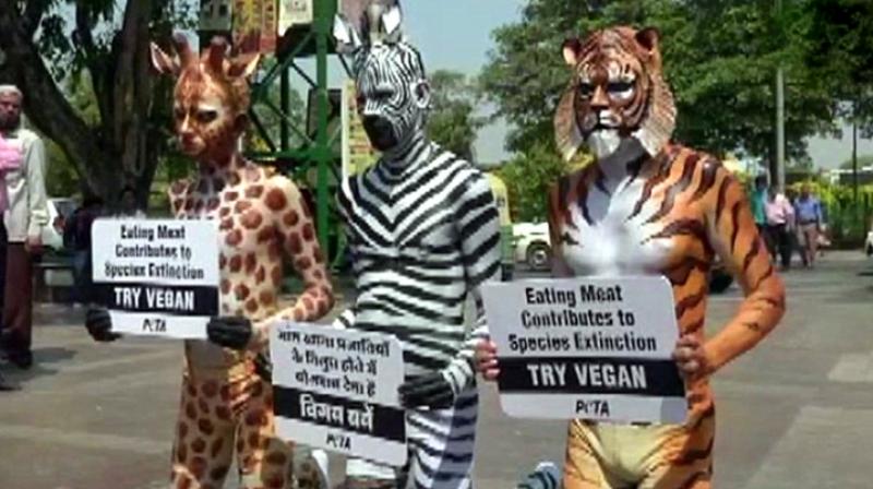 PETA representative Neha said, PETA representative Neha said,