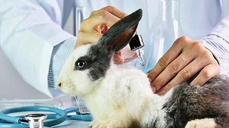 The new chemicals are constantly under development and for environmental and ecological safety. (Photo: ANI) The new chemicals are constantly under development and for environmental and ecological safety. (Photo: ANI)