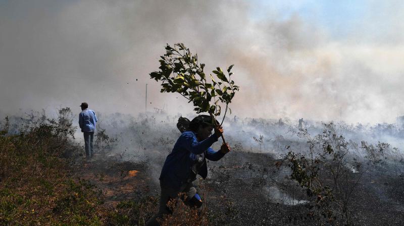 Farm workers try to put out an illegal fire which burned part of the Amazon rainforest reserve and was spreading to their land north of Sinop, in Mato Grosso State, Brazil. (AFP)