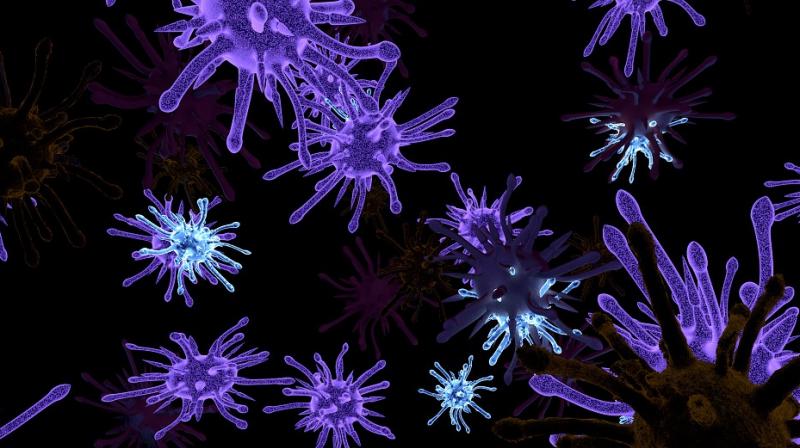 Viruses are the most common cause of meningitis. (Photo: Pixabay) Viruses are the most common cause of meningitis. (Photo: Pixabay)