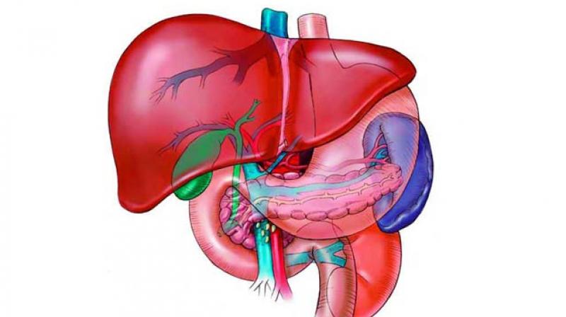 The rising numbers in India are a cause of concern as it has been found that if the disease is not tackled properly, then it has the potential to cause another epidemic in the country. The rising numbers in India are a cause of concern as it has been found that if the disease is not tackled properly, then it has the potential to cause another epidemic in the country.