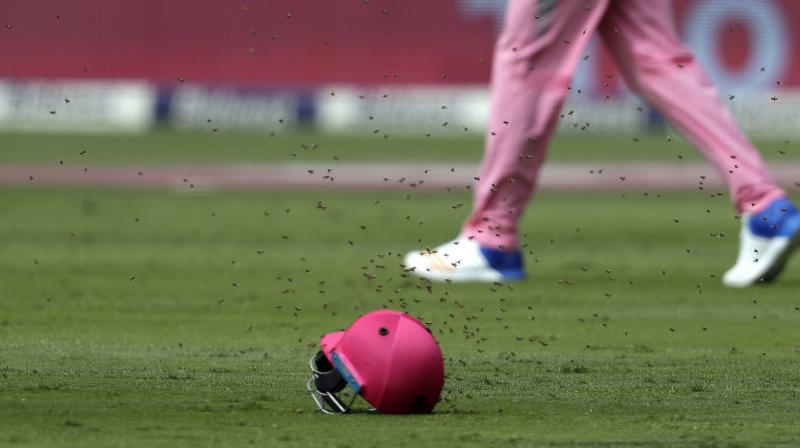 Bees swarm over Quinton de Kock's helmet. (Photo: AP) Bees swarm over Quinton de Kock's helmet. (Photo: AP)