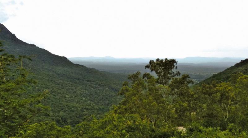 Ooty hills Ooty hills