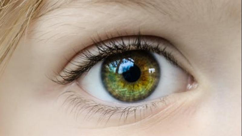The infrastructure for corneal donation is also not adequate in the country. (Photo: Representational/Pexels) The infrastructure for corneal donation is also not adequate in the country. (Photo: Representational/Pexels)