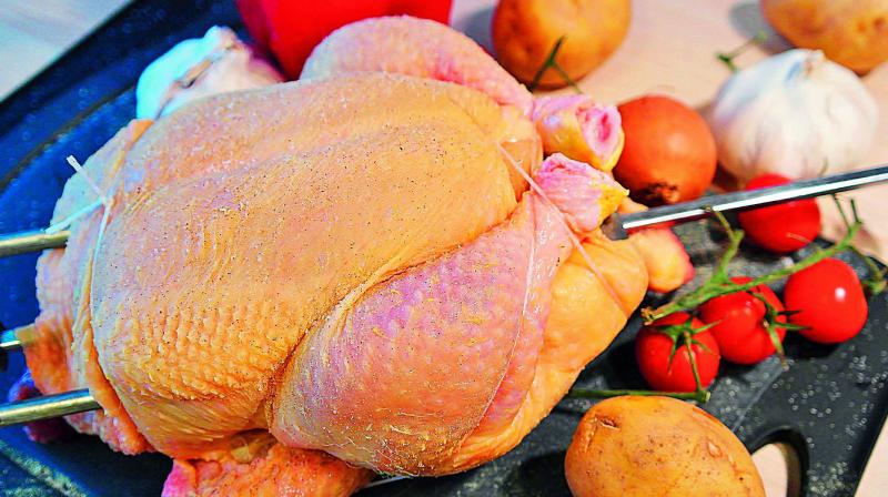 One of the most common meat, chicken is a part of almost every cuisine across the globe. One of the most common meat, chicken is a part of almost every cuisine across the globe.