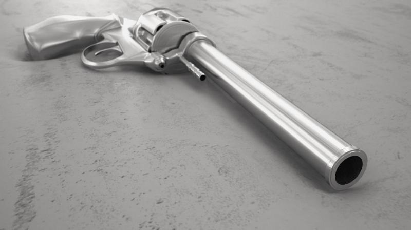 'Canterbury firearms owners' attitude towards this process has been outstanding.' (Photo: Representative Image/File) 'Canterbury firearms owners' attitude towards this process has been outstanding.' (Photo: Representative Image/File)