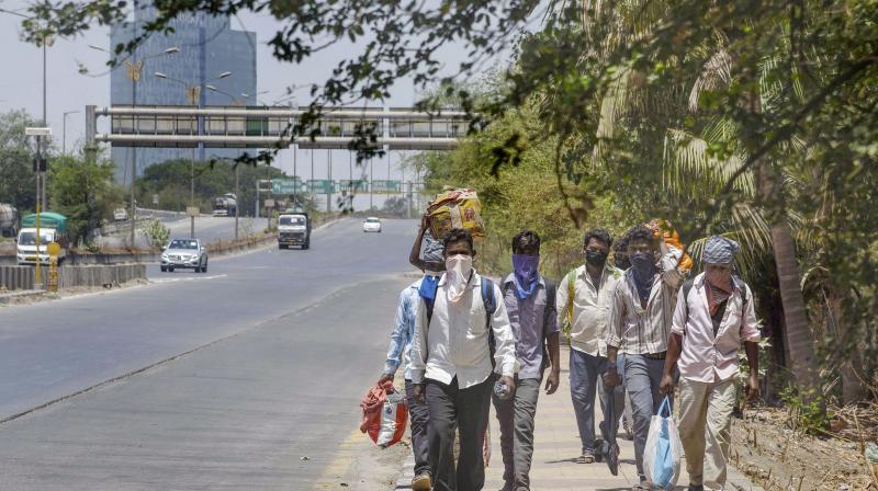 : Migrants from Madhya Pradesh walk along a road towards their native places during the nationwide lockdown, imposed in wake of the coronavirus pandemic, in Navi Mumbai. PTI Photo : Migrants from Madhya Pradesh walk along a road towards their native places during the nationwide lockdown, imposed in wake of the coronavirus pandemic, in Navi Mumbai. PTI Photo