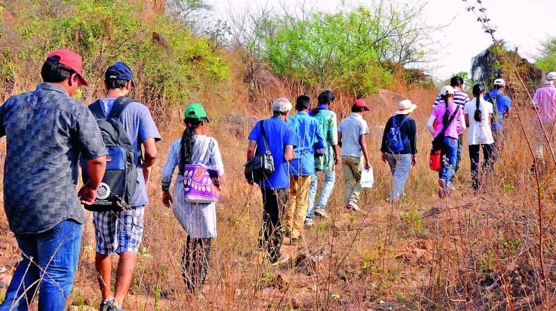 Trekking through the forest is one of the most beautiful experiences a traveller can have in her/his lifetime. Trekking through the forest is one of the most beautiful experiences a traveller can have in her/his lifetime.