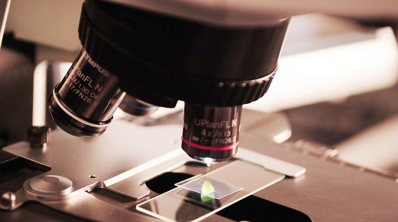 The goal is to make this a universal recycling process for all cathode materials. (Photo: Representational/Pixabay) The goal is to make this a universal recycling process for all cathode materials. (Photo: Representational/Pixabay)
