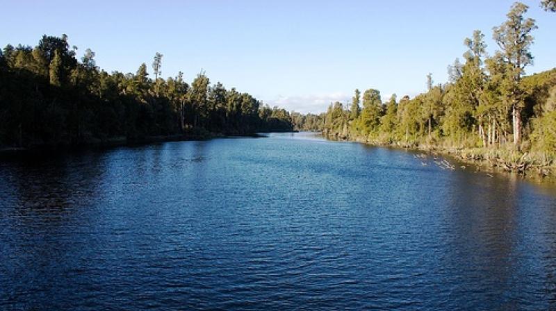 'Free-flowing rivers are important for humans and the environment alike, yet economic development around the world is making them increasingly rare. (Photo: ANI) 'Free-flowing rivers are important for humans and the environment alike, yet economic development around the world is making them increasingly rare. (Photo: ANI)