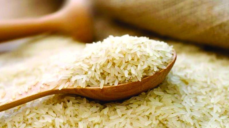 On a comparative basis, Basmati rice exports in 4M FY20 stood at Rs. 10,847 crore, 6 per cent lower than Rs. 11,575 crore in the corresponding period in the previous fiscal. On a comparative basis, Basmati rice exports in 4M FY20 stood at Rs. 10,847 crore, 6 per cent lower than Rs. 11,575 crore in the corresponding period in the previous fiscal.