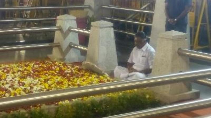 Panneerselvam arrived at the site around 9 PM and placed a wreath before sitting in meditation. (Photo: Twitter) Panneerselvam arrived at the site around 9 PM and placed a wreath before sitting in meditation. (Photo: Twitter)