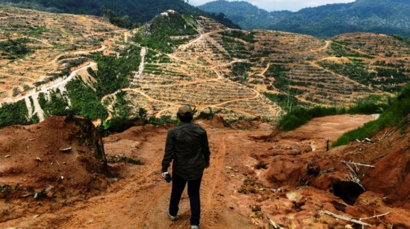Many experts think a so-called "mass extinction event", only the sixth in the last half-billion years is already under way. (Photo: AFP) Many experts think a so-called "mass extinction event", only the sixth in the last half-billion years is already under way. (Photo: AFP)