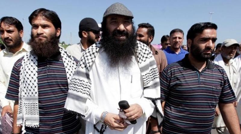 Salahuddin, head of the Kashmiri militant group Hizbul Mujahideen (Photo: File) Salahuddin, head of the Kashmiri militant group Hizbul Mujahideen (Photo: File)