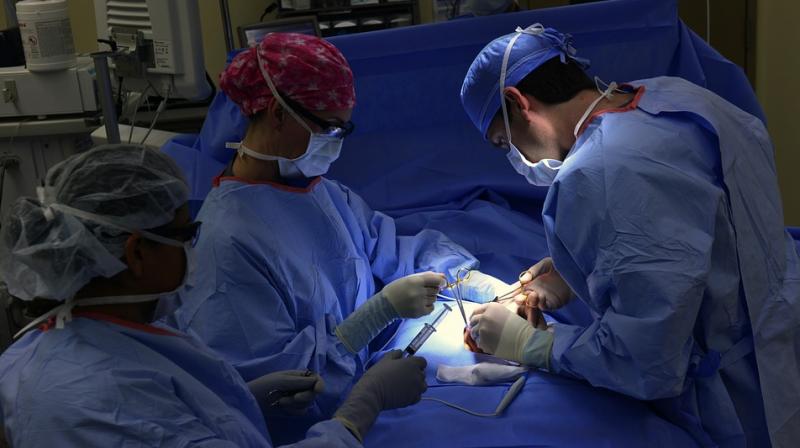 Urologists said the surgery doesn't even serve a purpose (Photo: Pixabay) Urologists said the surgery doesn't even serve a purpose (Photo: Pixabay)