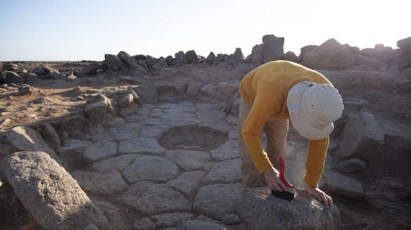 The flatbread, likely unleavened and somewhat resembling pita bread, was fashioned from wild cereals such as barley, einkorn or oats and aquatic papyrus relative that had been ground into flour. (Photo: Alexis Pantos) The flatbread, likely unleavened and somewhat resembling pita bread, was fashioned from wild cereals such as barley, einkorn or oats and aquatic papyrus relative that had been ground into flour. (Photo: Alexis Pantos)