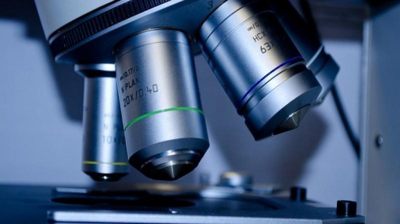 In the samples used in for the research, the number of senescent cells was reduced by up to 50 percent. (Photo: ANI) In the samples used in for the research, the number of senescent cells was reduced by up to 50 percent. (Photo: ANI)