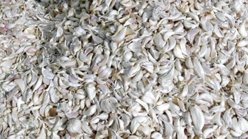 Garlic can also help people with diabetes and dandruff (Photo: AFP) Garlic can also help people with diabetes and dandruff (Photo: AFP)
