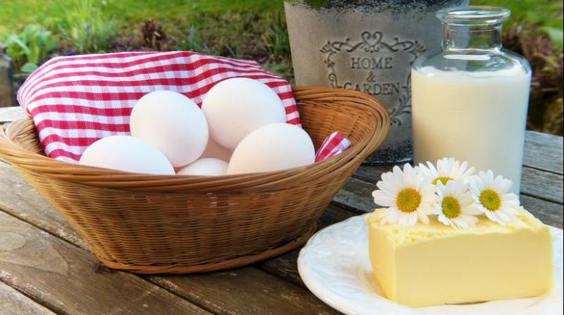 Global calcium consumption drastically low. (Photo: Pexels) Global calcium consumption drastically low. (Photo: Pexels)