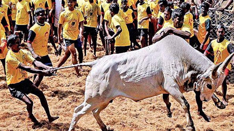 Is our religion so weak and ignorant that we cannot see the brutality and cruelty caused by us to animals? Is our religion so weak and ignorant that we cannot see the brutality and cruelty caused by us to animals?