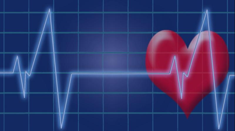 Lesbian, gay and bisexual (LGB) adults found to be suffering from severe health issues. (Photo: Pixabay) Lesbian, gay and bisexual (LGB) adults found to be suffering from severe health issues. (Photo: Pixabay)