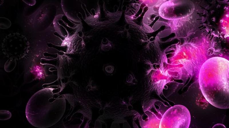 This means that there is hope for HIV patients, but ART is not a cure for HIV. (Photo: Pixabay) This means that there is hope for HIV patients, but ART is not a cure for HIV. (Photo: Pixabay)