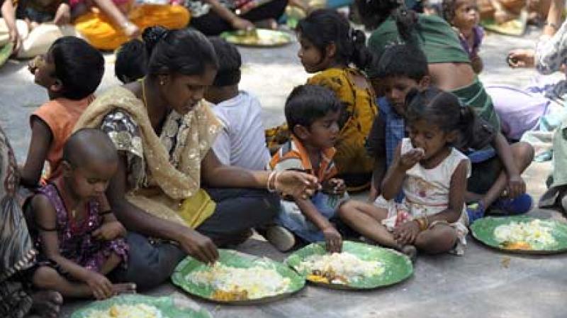 Globally, 76 per cent of the population derives most of their daily protein from plants (Photo: AFP) Globally, 76 per cent of the population derives most of their daily protein from plants (Photo: AFP)