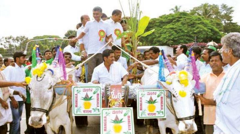 A file photo of Agriculture Minister Krishna Byre Gowda riding a bullock cart. A file photo of Agriculture Minister Krishna Byre Gowda riding a bullock cart.