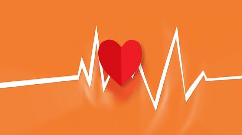 Numerous studies over the years have shown that hospitalization and mortality rates for heart failure patients are higher during the winter. (Photo: Pixabay) Numerous studies over the years have shown that hospitalization and mortality rates for heart failure patients are higher during the winter. (Photo: Pixabay)