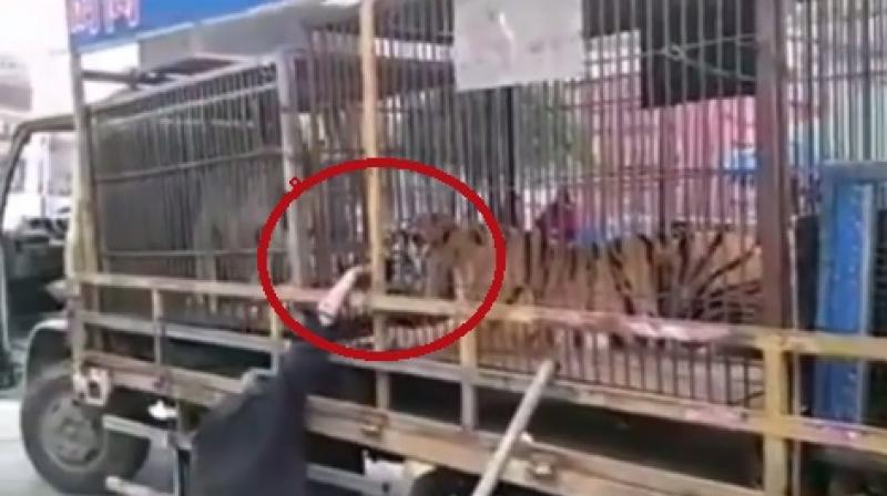He fainted with a bleeding hand. Two fingers were missing (Photo: YouTube) He fainted with a bleeding hand. Two fingers were missing (Photo: YouTube)
