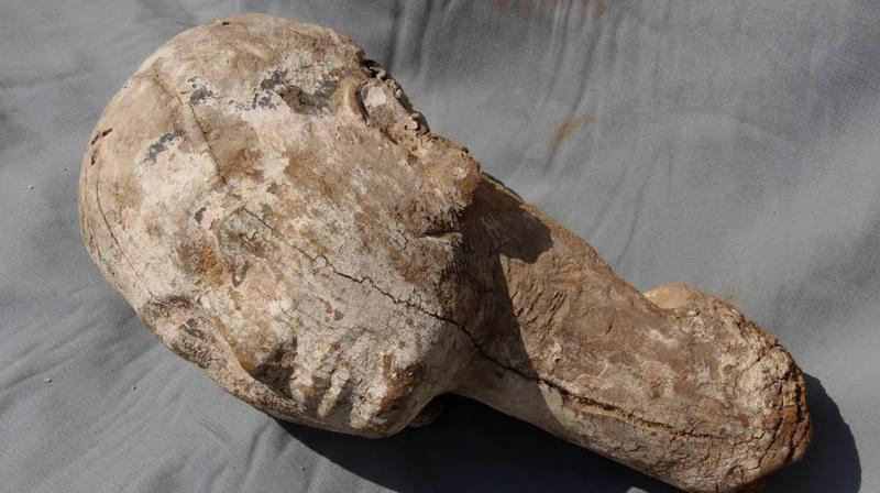 The uncovered head is believed to depict Ankhesenpepi II, the mother of King Pepi II of the 6th dynasty who ascended to the throne at the age of six. She ruled Egypt as regent during the early years of his reign. (Photo - AP) The uncovered head is believed to depict Ankhesenpepi II, the mother of King Pepi II of the 6th dynasty who ascended to the throne at the age of six. She ruled Egypt as regent during the early years of his reign. (Photo - AP)