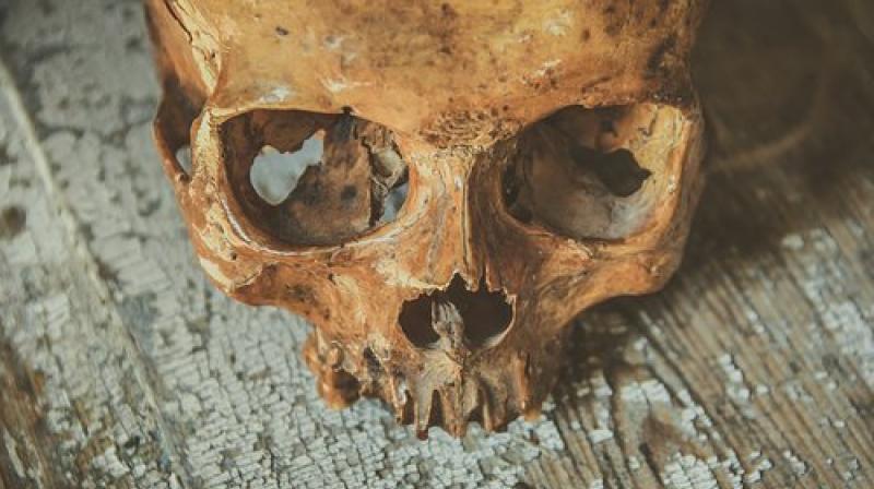 The discovery of human bones at the alleged murderer's former home in Brittany has sparked hope that the truth will prevail. (Photo: Pixabay) The discovery of human bones at the alleged murderer's former home in Brittany has sparked hope that the truth will prevail. (Photo: Pixabay)