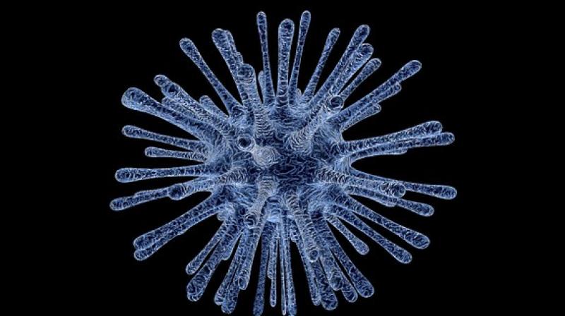 Applications of CUTseq are not only limited to cancer diagnostics, according to the researchers behind the new method. (Photo: Representational/Pixabay) Applications of CUTseq are not only limited to cancer diagnostics, according to the researchers behind the new method. (Photo: Representational/Pixabay)