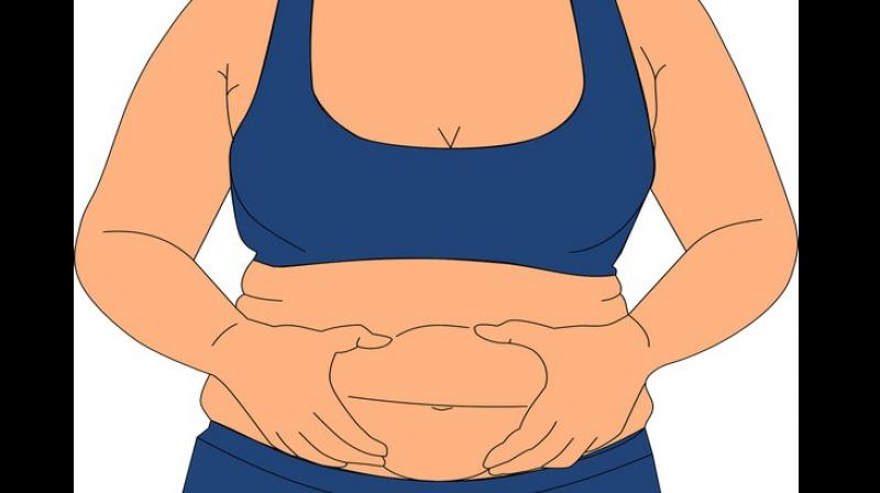 The research also suggests that this increase in fat alters the normal structure of the airways and leads to inflammation in the lungs. The research also suggests that this increase in fat alters the normal structure of the airways and leads to inflammation in the lungs.