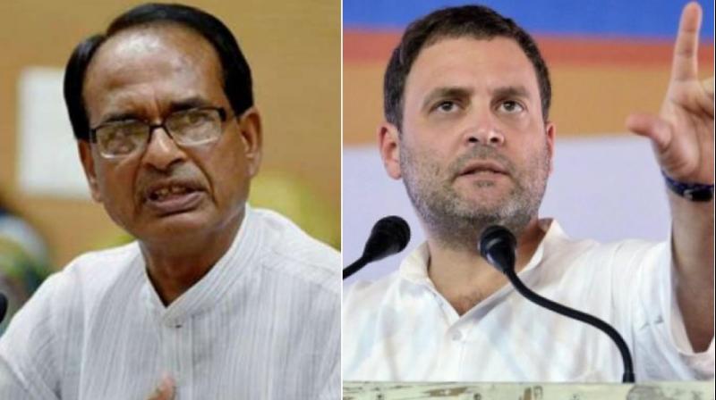 Though Gandhi did not specifically identify the CM in his speech, he was possibly referring to Chouhan because he is popularly known as 'mamaji'. (Photo: DC/File) Though Gandhi did not specifically identify the CM in his speech, he was possibly referring to Chouhan because he is popularly known as 'mamaji'. (Photo: DC/File)