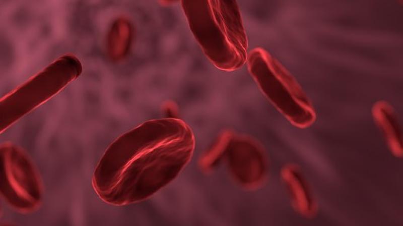 Women who received the therapy began to get their periods within six months. (Photo: Pixabay) Women who received the therapy began to get their periods within six months. (Photo: Pixabay)