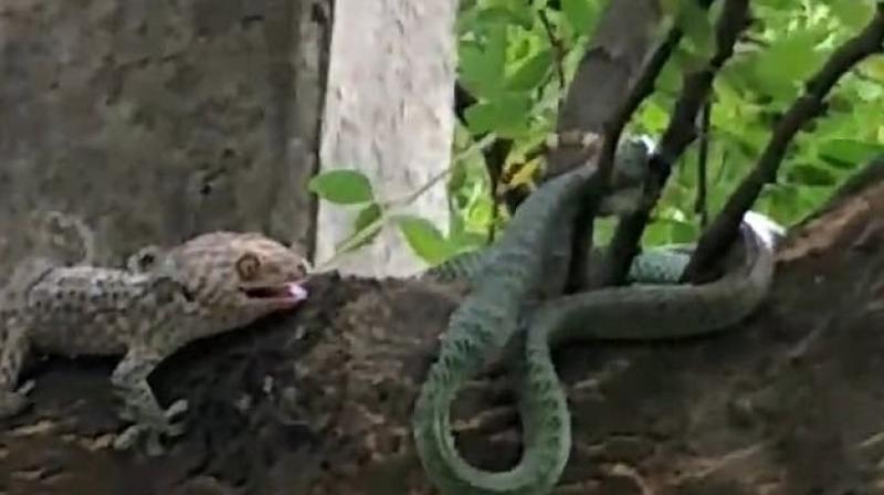 An onlooker helped out (Photo: YouTube) An onlooker helped out (Photo: YouTube)