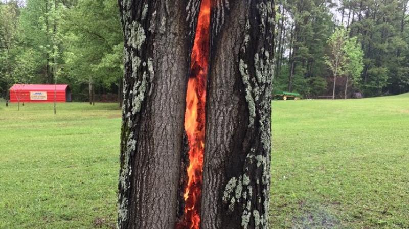 The photo was taken by Janis Melton of Baldwyn and was shared by meteorologist James Spann before it went viral. (Photo: Twitter/JamesSpann) The photo was taken by Janis Melton of Baldwyn and was shared by meteorologist James Spann before it went viral. (Photo: Twitter/JamesSpann)