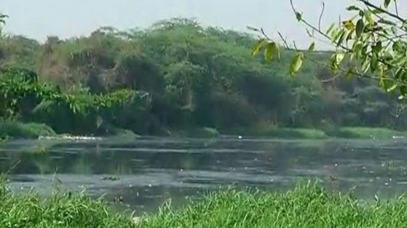 The Musi river once had clean water. (Photo: ANI) The Musi river once had clean water. (Photo: ANI)