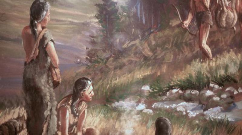 Bone marrow was an important diet element in prehistoric times. (Photo: ANI) Bone marrow was an important diet element in prehistoric times. (Photo: ANI)