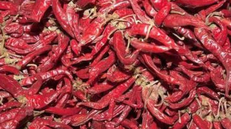 Each farmer is spending nearly Rs10,000 to Rs15,000 on transportation to Warangal or Nagpur.(Representational image) Each farmer is spending nearly Rs10,000 to Rs15,000 on transportation to Warangal or Nagpur.(Representational image)