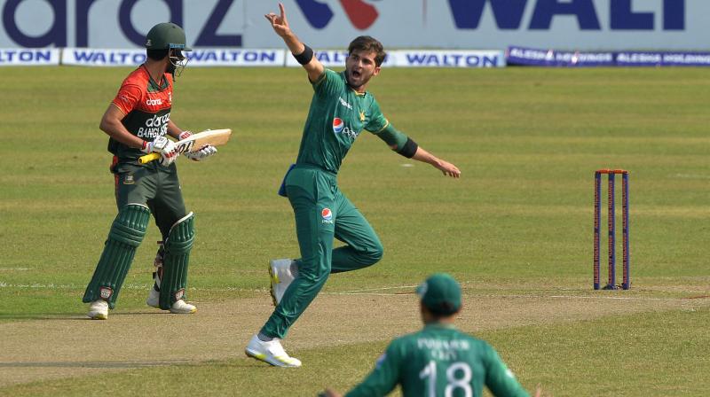 Pakistan's Shaheen Shah Afridi (centre) successfully appeals for leg before wicket (LBW) against Bangladesh's Saif Hassan during the second Twenty20 international cricket match between Bangladesh and Pakistan at the Sher-e-Bangla National Cricket Stadium in Dhaka on Saturday. (Photo: AFP) Pakistan's Shaheen Shah Afridi (centre) successfully appeals for leg before wicket (LBW) against Bangladesh's Saif Hassan during the second Twenty20 international cricket match between Bangladesh and Pakistan at the Sher-e-Bangla National Cricket Stadium in Dhaka on Saturday. (Photo: AFP)