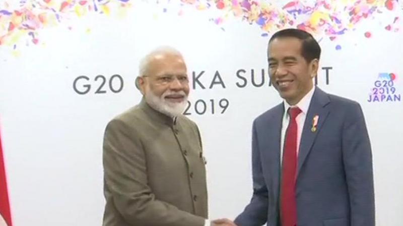 Prime Minister Narendra Modi holds a bilateral meeting with Indonesian President Joko Widodo in Osaka. (Photo:ANI/Twitter) Prime Minister Narendra Modi holds a bilateral meeting with Indonesian President Joko Widodo in Osaka. (Photo:ANI/Twitter)