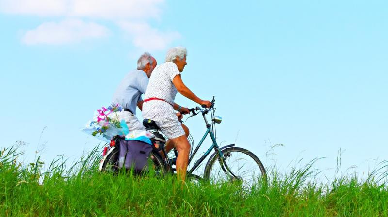 Protein intake may reduce disability risk in older people. (Photo: Pixabay) Protein intake may reduce disability risk in older people. (Photo: Pixabay)