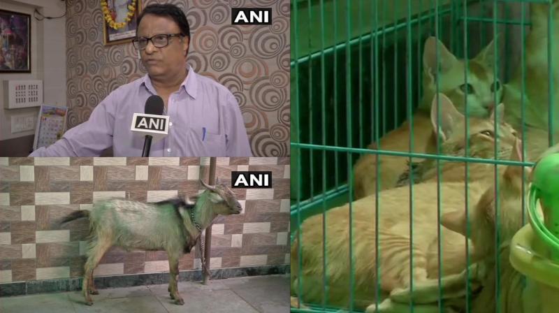 Manager said that they asked her to leave as they don't allow pets. (Photo: ANI | Twitter) Manager said that they asked her to leave as they don't allow pets. (Photo: ANI | Twitter)