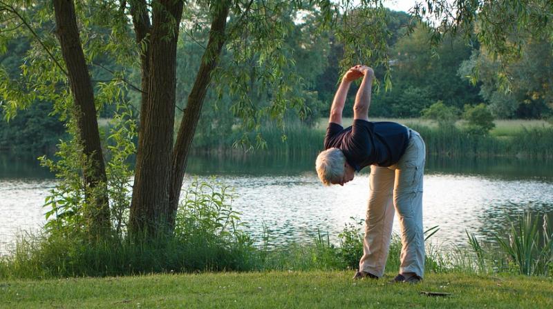 Physical activity reduces risk of dementia. (Photo: Pixabay) Physical activity reduces risk of dementia. (Photo: Pixabay)