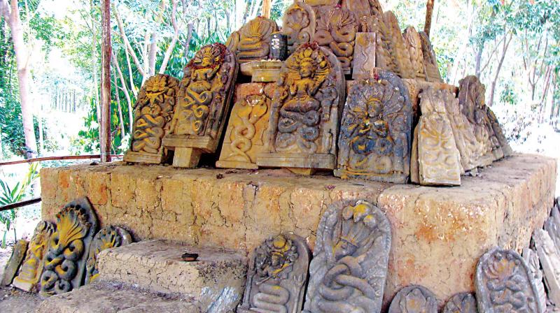 People agree that the place had an apt name- ‘Sahasra Nagabana,’ which means abode of the snake god with thousands of snakes! People agree that the place had an apt name- ‘Sahasra Nagabana,’ which means abode of the snake god with thousands of snakes!